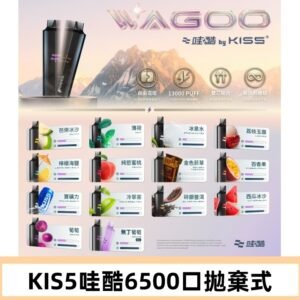Kis5電子煙 Kiss拋棄式哇酷|WAGOO6500口一次性電子煙