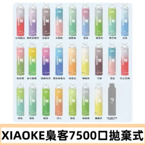 梟客XIAOKE|7500口可發光拋棄式電子煙 跑馬燈一次性