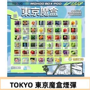 TOKYO MOHOO BOX東京魔盒煙彈可替換式電子煙|日本熱銷品牌